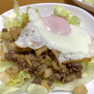 ♪旦那の好物丼♪　蓮根と挽き肉の甘辛